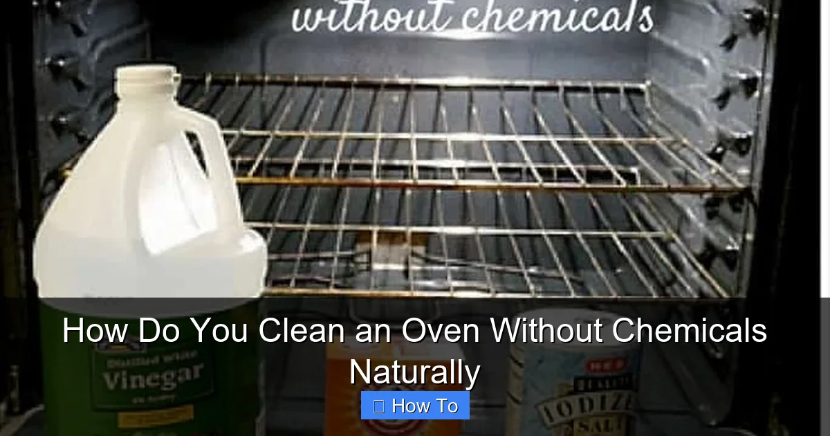 How Do You Clean an Oven Without Chemicals Naturally