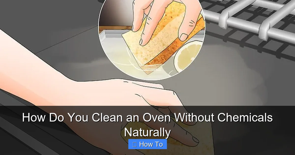 How Do You Clean an Oven Without Chemicals Naturally