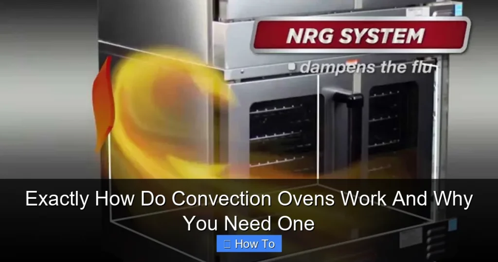 Exactly How Do Convection Ovens Work And Why You Need One