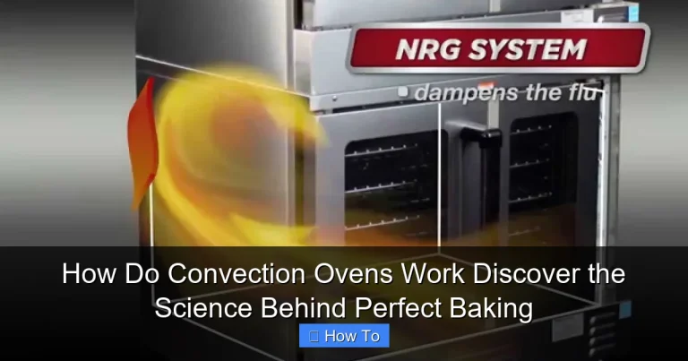 How Do Convection Ovens Work Discover the Science Behind Perfect Baking