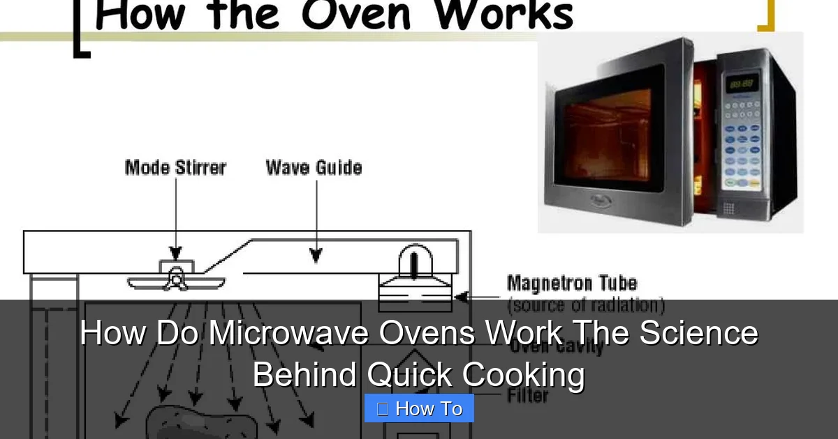 How Do Microwave Ovens Work The Science Behind Quick Cooking