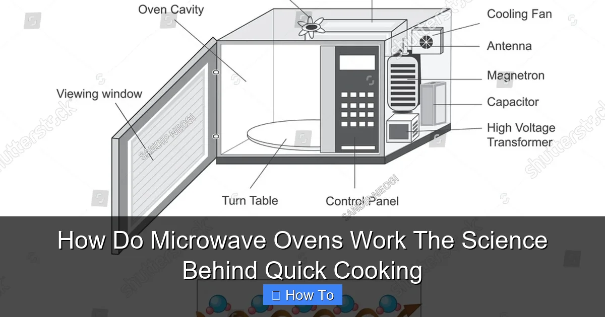How Do Microwave Ovens Work The Science Behind Quick Cooking