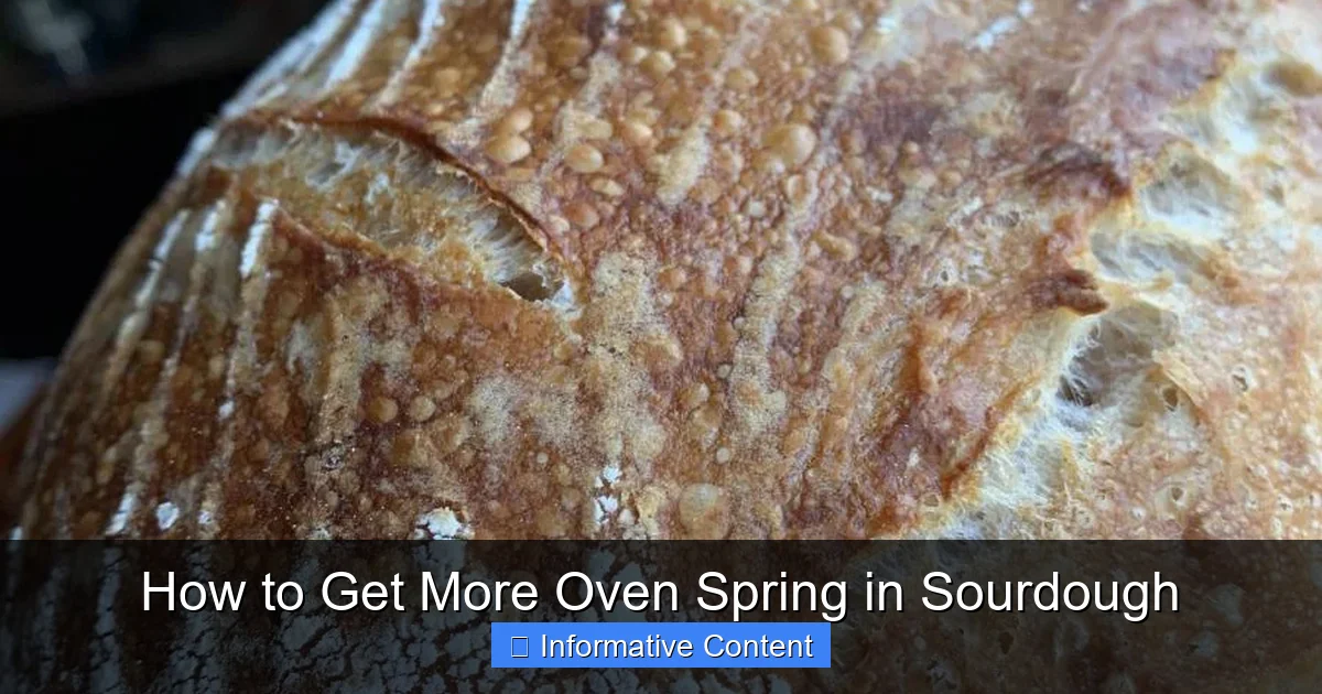 How to Get More Oven Spring in Sourdough