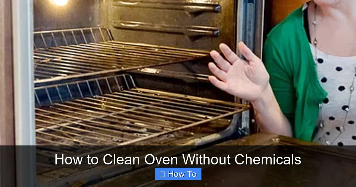How to Clean Oven Without Chemicals